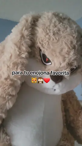 #bunny #bunnies 