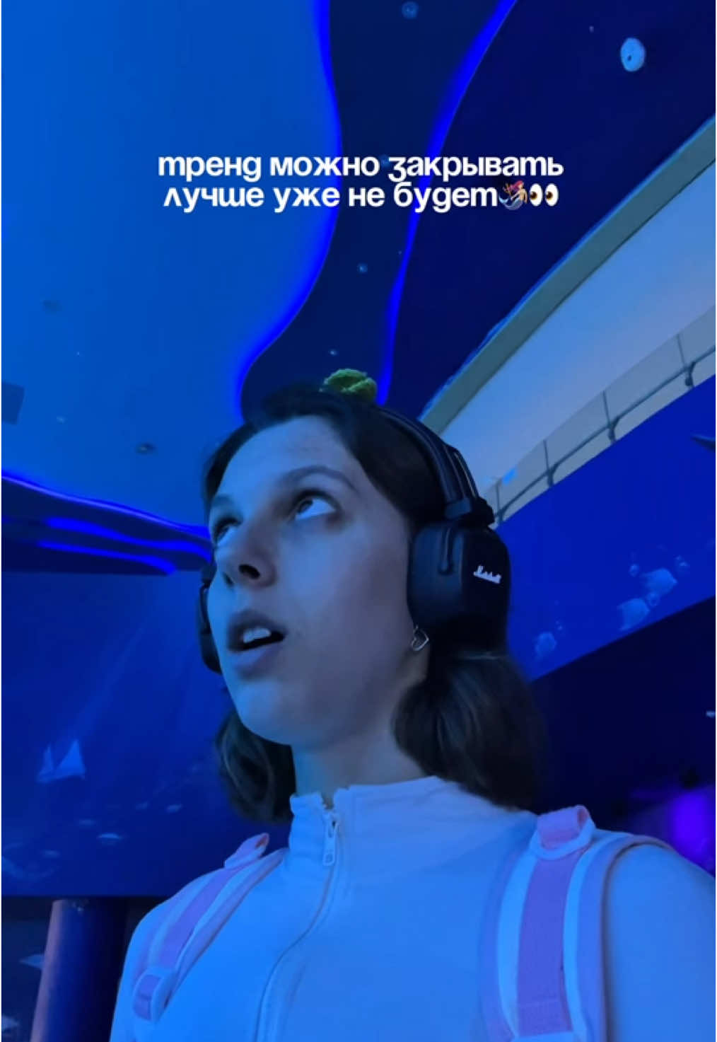 если не залетит, то я расстроюсь… о работе русалкой в тгк: записки блогера