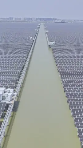 光伏下海，水稻上山，沙漠绿洲，中国🇨🇳既然被人笑话没市场，有时间来中国看看，你们才买多少块板子，类似这样事情中国天天上演，数不过来的#光伏电站 #光伏人 #lifepo4 #solar #china 