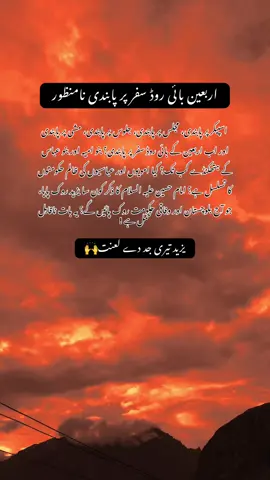 اربعین بائی روڈ سفر پر پابندی نامنظور . . . #aesthetic #aliakbar #imamhussain #viral #foryou #foryoupage #fyp #contant #yadeezlanatbeshumar #molahussain #azadari @Shearaz Ali🌙 
