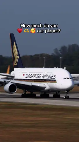 📣 CALLING ALL AVIATION FANS 📣 It’s time to put your airplane smarts to the test 🧐 #singaporeairlines #flysq #aviationtiktok #aviation