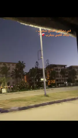 #عصام_صاصا_الكروان ##عصام_صاصا #هولندا🇳🇱 #بعادك #توكسيك #لايف_فوتو #صور_كأنها_لك 