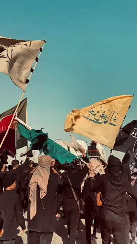 #مشاية_الامام_الحسين #مشاية #مشاية_الأربعين #كربلاء 