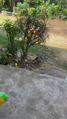 #yoman 