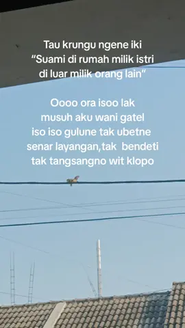 wani po ra mba musuh aku😅 #xyzbca #fyppppppppppppppppppppppp #berandatiktok #promomakangajian 