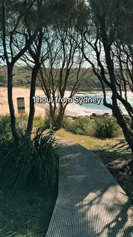 Royal national park coastal walk  #HikingAdventures #NatureLovers #WildernessVibes #ExploreMore #HiddenGems #ScenicViews #HikingAustralia #TrailViews #OutdoorLife #AdventureSeekers #FYP #ViralVideo #NatureEscape #WeekendWander #EarthVisuals