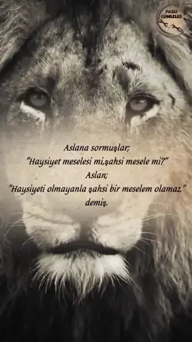 #aslana #sormuşlar #haysiyet #meselesi #mi #şahsi #mesele #mi #aslan #haysiyeti #olmayanla #şahsi #bir #meselem #olamaz #demiş  #anlamlısözler #haber #keşfetteyizzz #keşfetbeniöneçıkar #keşfett #keşfetedüş #keşfetbeni #keşfetteyiz #keşfetalbeni #instagram #fypage #paslıcümleler