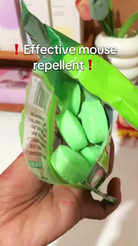 10PCS Mouse Repeller Repellent ❗️❗️❗️ must have tlga #mouserepellent #mousetrap #mouserepeller #fypviralシ 