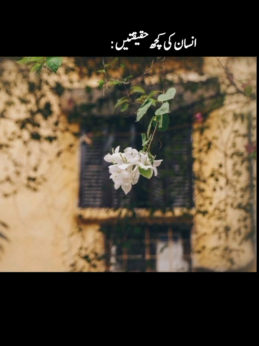 #foryou #foryoupage #aesthetic #foryoupage #fyp 