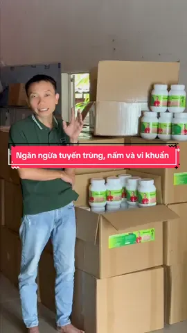 Bảo vệ toàn diện đất trồng và bộ rễ. Ngăn ngừa tuyến trùng, tăng tối đa khả năng hấp thụ dinh dưỡng. #tuyentrung #chamsoccay #nongnghiep #caitaodat 