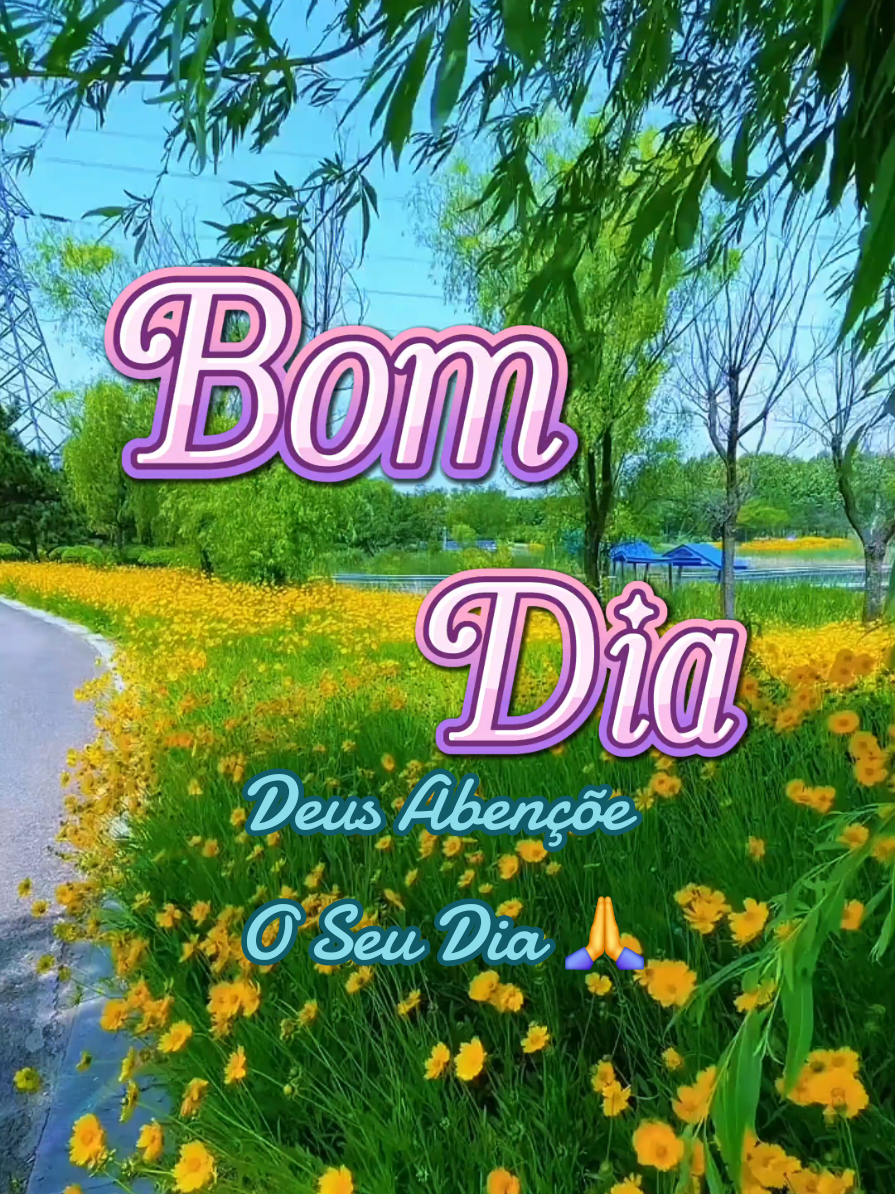 Bom Dia! Lindo Dia Pra Voçê ☀️😉 #Bomdia #lindodia #deusabencoeseudia #Paz #Fé 