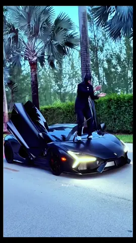 Rayyan Arkan Dikha phiên bản trên cạn😁#lamborghini #xelamborghini 