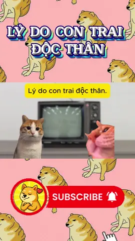 Lý do con trai độc thân #cheems #cheemsmeme #cheemstinhcam #catmeme 