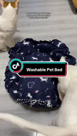 Dog Bed Mat Washable Cat Pet Bed Sleeping Warm Soft Bed for Puppy and Kitty Mat House Pad Pet Kennel S M L Sizes Available Hight Quality Cotton Durable Soft Skin Friendly Animal Solid Color Striped Dog Mattress Cat Mattress - Perfect sofa pet bed - Can be placed on the floor when traveling in the car or outdoors - Cool and breathable  - Fast heat dissipation #fyp #petbed #petmat #cat #catsoftiktok 