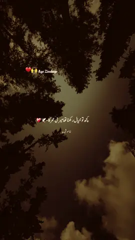 اتنی جلدی سمجھدار کر دیا تو نے اے زندگی.❤️‍🩹#peorty #heartbroken #sad #fyp #deepline #quotes #aethetic #shayari #humsafar #heartbroken 