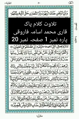 تلاوت کلام پاک  قاری محمد اسامہ فاروقی  پارہ نمبر 1 صفحہ نمبر ٢٠#tik_tok 