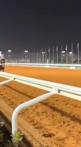 البطل كاراتشي بذكر الله عليه بطل كأس الملك سعود G1