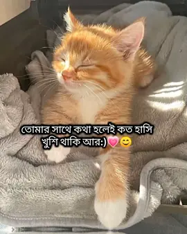 hum xan, 😩💗 #foryou #foryoupage #fannyvideo #trending #fyp @TikTok Bangladesh @For You 