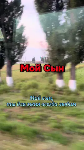 Мой сын, ты для меня всегда любим  Мой сын, я приму тебя любым Мой сын, пусть Господь тебя хранит  И по верному ведет пути. Песня про сына. Со смыслом #сын #сынок #песняпросына #☺️ #👍 