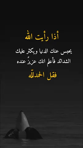 #الحمدلله_دائماً_وابداً #اكسبلورexplore #عبارات 