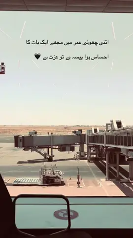 Bilkol😏#grow #account #burhantv #standwithkashmir #flypシ #fly #viralvideo #poytry 