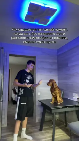 Отмечай и не забывай подписываться 