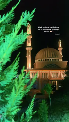 Allah herkese kalbinde ne varsa onu versin fazlasıyla versin..🤲🏻📿#Allah #dua #ayet #kuranıkerim #fypシ゚viral🖤tiktok #islamic_video 