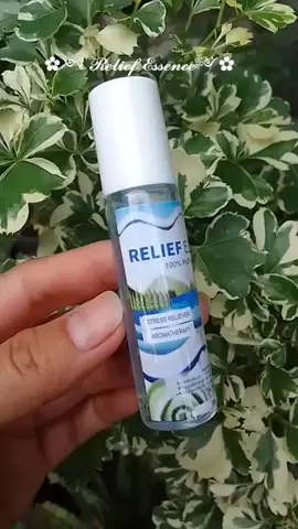my stress & anxiety reliever 🫶 #StressRelief #stressreliever #anxiety #anxiatyreleif #reliefessence #aromatherapy #creatorsearchinsights #fyp #fypage #fyppppppppppppppppppppppp #fypシ゚ 