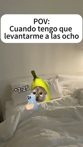 #gatosmemes#catstories#gatitoslindos#humor#parati#catsoftiktok#historiasdegatos#gatitosbonitos#kittens#fyp#michis#storytime#gatosgraciosos 