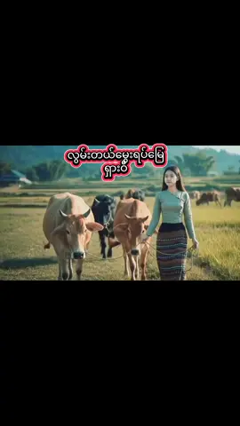 လွမ်းတယ်မွေးရပ်မြေ // ရှားဝီ #myanmar #သီချင်းလေးကြိုက်လို့ပါ #သီချင်းချစ်သူများအတွတ်☺️🎼🎵🎶 #myanmartiktok🇲🇲🇲🇲 #foryou #fypシ 
