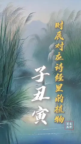 你知道嗎，《詩經》里的植物是可以和你出生時辰相關聯的#國學智慧 #民俗#文學#文學經典