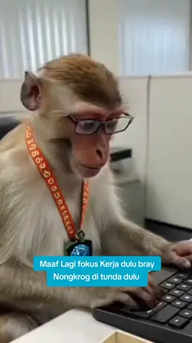#funnyvideos #monkeydluffy #vidiolucu #justforlaugh #foryoupage #lucu