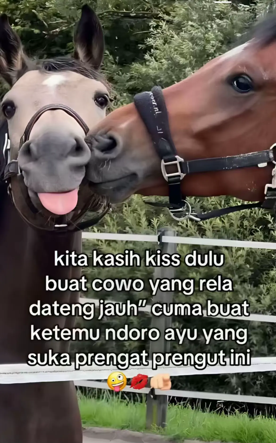 besok mau di masakin apa??🫰🏻