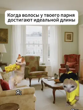 #кот #семья #жиза#котята #мемы