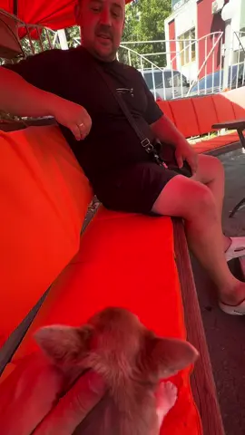###