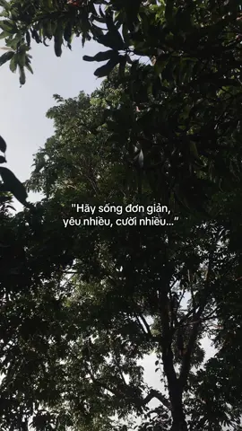 …#tamtrang #story 