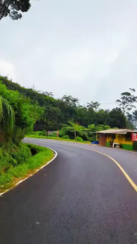 Jalanan Ciwidey emang seasik itu ya buat touring   Original video by @zoomie77 📱 Google Pixel 7 Pro  🎥 Cinematic vidio @nalwavee  🔧 Cocok buat Story, Prank, Kata-kata  📥 Follow buat stok video original tiap hari #fyppppppppppppppppppppppp   #mentahanvidio #mentahanvideo #mentahan #xyzbcafypシ 