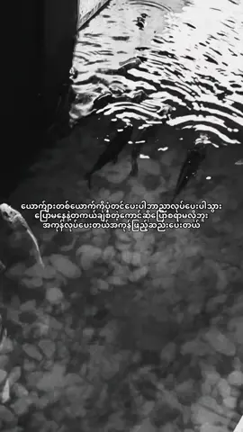 #fypシ゚viral🖤tiktok #moots? #myanmar 