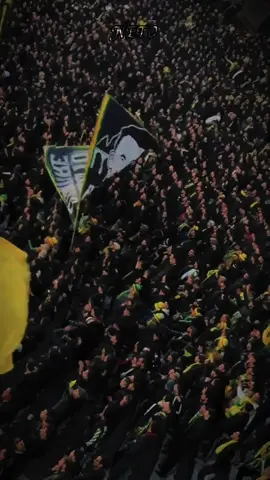 CURVA NORD KABYLIE #jskabylie🔰❤ #kabilye❤️🇩🇿🇩🇿♓♓ #ukb09💚💛 #ul13💚💛 #kabilye 