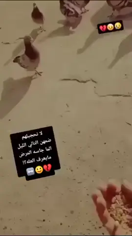#المتابعين #هاشتاك#ستوريات#ستوريات_دينية_فقط💜 