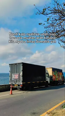 rasa penasaranku jadi meronta ronta😁 #fypシ゚ #lewatberanda #driver #drivermuda #boxbalapseduluran🤙 