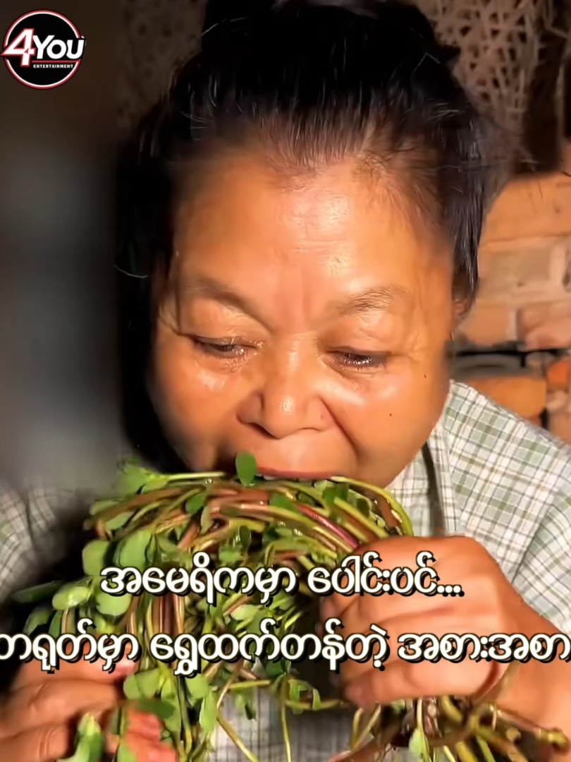 အမေ-ရိကာ-းမှာပေါင်းပင်တရုတ်မှာရွှေထ-က်တ-န်တဲ့ အစားအစာ #4YouEntertainment #fbreels #Knowledgesharing #ဗဟသုတ #ထးဆန်းထွေလာ #PopularNews