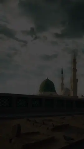 أنا لا أُضام و في رحابكَ عصمتي ‏ أنا لا أخاف ،  و في حماكَ أماني ‏أنا إن بكيتُ فلن أُلامَ على البُكى ‏ فلطالما إستغرقتُ في العصيانِ ‏- يا واحداً في مُلكهِ - مـالـهُ ثـاني ‏ يا منْ إذا قلتُ : يا مولاي ؛ لـبـاني ‏أعصاكَ : تستُرني ، أنساكَ : تذكُرني ‏فكيفَ أنساكَ  يا منْ : لستَ تنساني ‏؟#ebrahim_salama86 