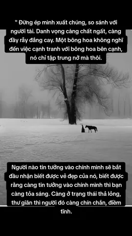 Hoa nào nở cũng đẹp, đâu riêng gì hoa hồng. Lục bình cũng rất tuyệt, dù chỉ mọc trên sông. 
