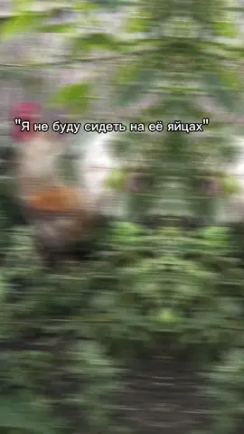 МНЕ ПЛОХО НЕЕЕ #стоматология #rge #on #happy #курицы #курочки #4u #fypviral #foryourpage #рекомендации 