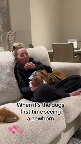 The dog sees the baby for the first time 🩷#dog #foryou #dogsofttiktok #Love #PetsOfTikTok #pet #babies 