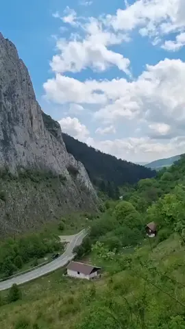 ⛰️🌲⛰️#10000k #cheilevalisoarei #muntiitrascau #alba 