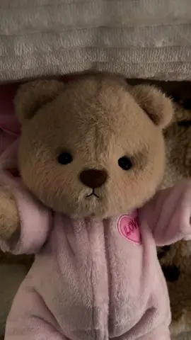 #getahugco #teddybear #giftideas #getahug 