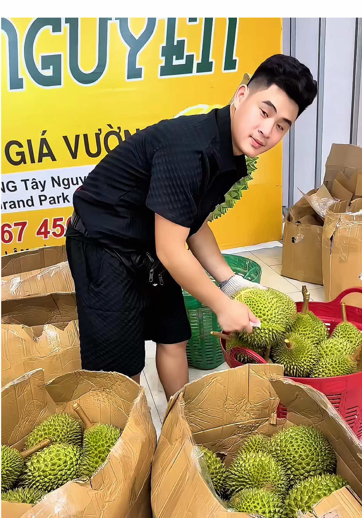 Musang King hoa hậu vượt mùa mưa bão 😸 #musangking #musaking #saurieng #fyp #fygpシ #khoinghiep #chiyeuminhanh #tamtrang #muabao 