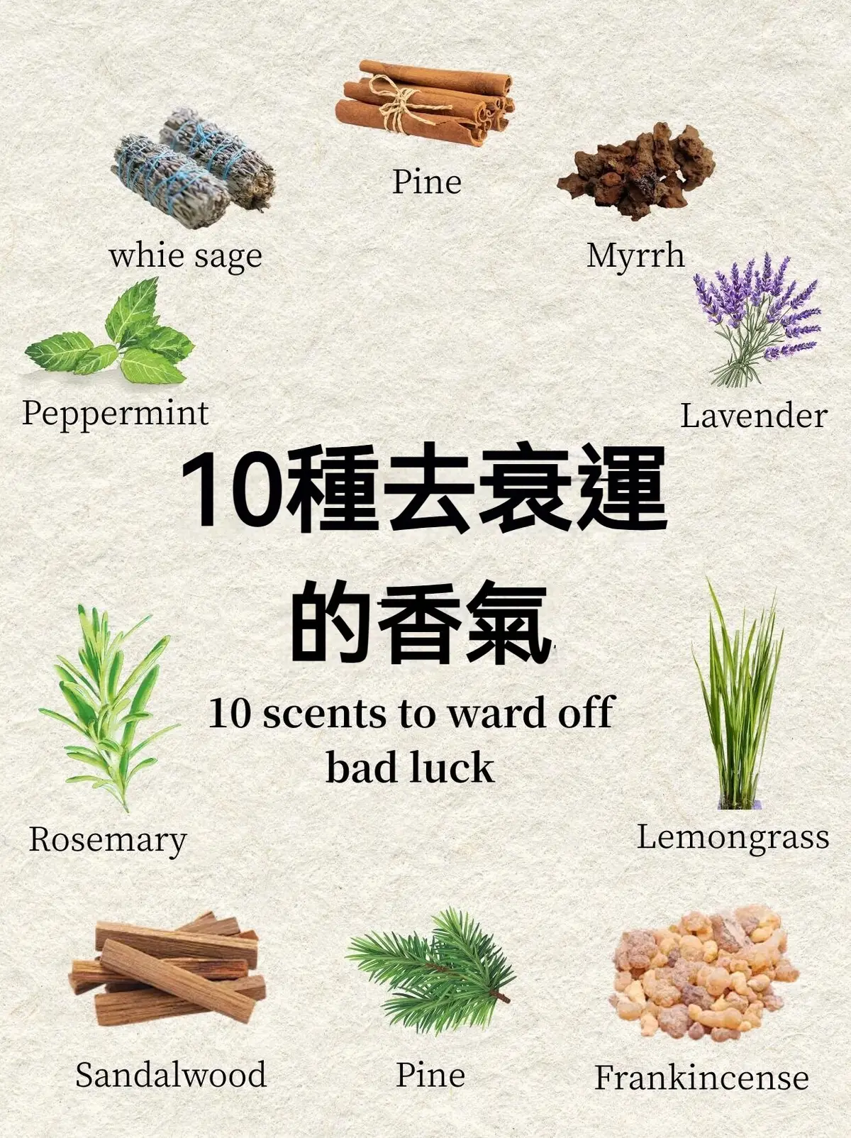 🌿自然界中植物的芬芳氣味通過嗅覺直接作用於大腦的邊緣系統影響情緒和生理狀態🧘🏻‍♀️🧠從而凈化我們自身的能量和磁場，掃除負能量、緩解壓力、改善情緒；消除外界的紛擾使內心回歸到平靜的狀態，並重新把控自身的能量場。🔮 #香氣療癒 #香文化 #能量提升 #自然療癒 #香味